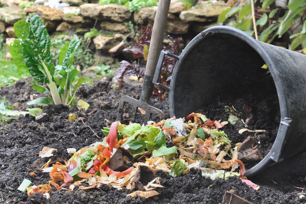 Leia mais sobre o artigo Como fazer adubo caseiro com casca de legumes de forma fácil e deixar seu jardim mais belo