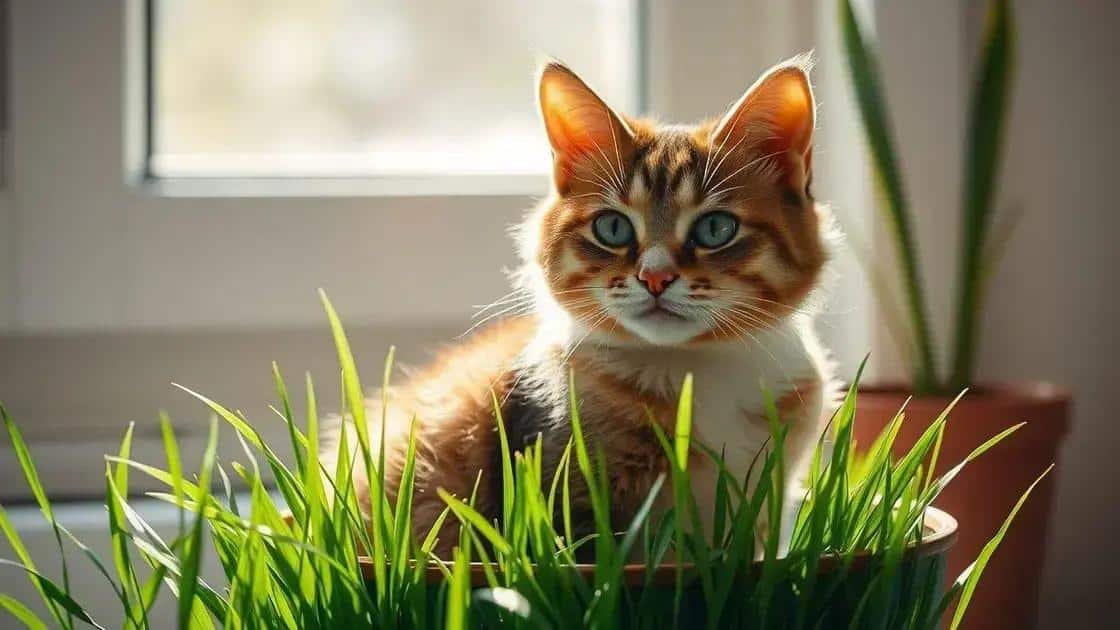 Leia mais sobre o artigo Como Cultivar o Melhor Jardim de Grama de Gato que Durará o Ano Todo