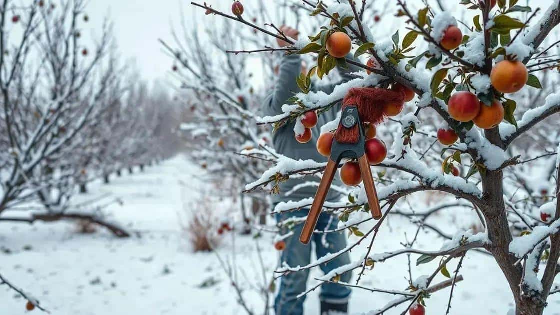 Leia mais sobre o artigo Poda de Inverno: O Método que Faz suas Árvores Frutíferas Produzirem 40% Mais na Próxima Temporada