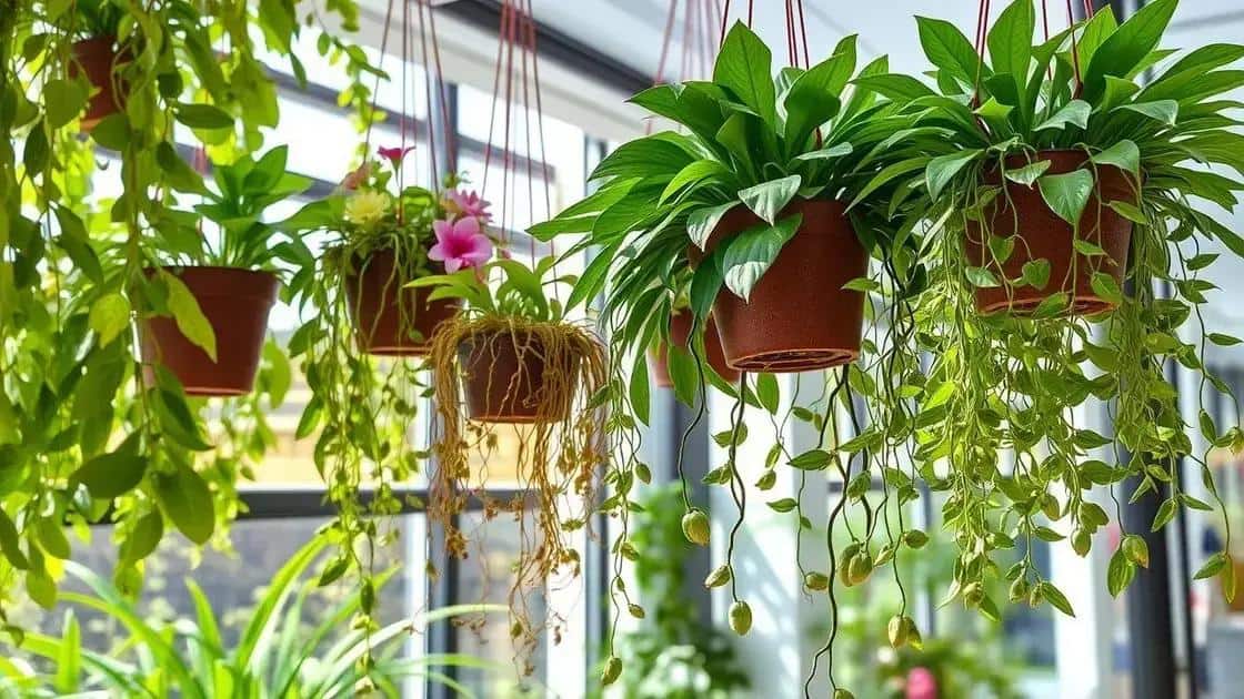 Dicas de cuidados com plantas pendentes