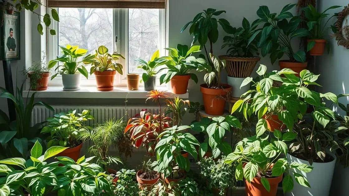 Erros comuns ao escolher o local para suas plantas
